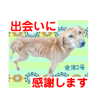 幸せに向かってGO GO〜❤️（個別スタンプ：14）
