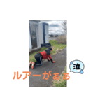 3ヒット3バラシ（個別スタンプ：5）