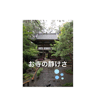 パクのお寺に感謝しましょう（個別スタンプ：1）