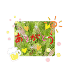 ナチュラル画像スタンプ（個別スタンプ：11）