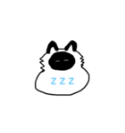 ヒマラヤン猫のまろん（個別スタンプ：2）