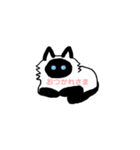 ヒマラヤン猫のまろん（個別スタンプ：3）