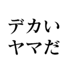 取締り警察官の日常【煽り】（個別スタンプ：24）