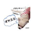KIKI＆LALA Stamp2（個別スタンプ：5）