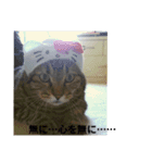 ぴのとE3…夏休み編（個別スタンプ：5）