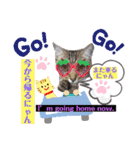 キジシャムにゃんこ④（個別スタンプ：26）