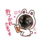キジシャムにゃんこ④（個別スタンプ：28）