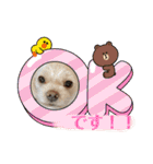 寺犬ゴン太 アラフィフ犬の敬語（個別スタンプ：3）