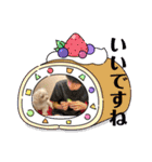 寺犬ゴン太 アラフィフ犬の敬語（個別スタンプ：18）
