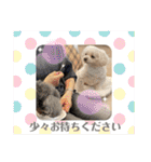 寺犬ゴン太 アラフィフ犬の敬語（個別スタンプ：26）