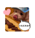寺犬ゴン太 アラフィフ犬の敬語（個別スタンプ：29）