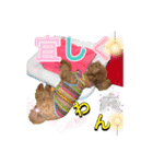 トイプードル 日常会話わんわん語編（個別スタンプ：8）