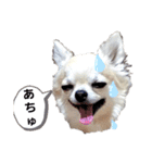 キキスタンプず14（個別スタンプ：4）