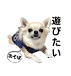 キキスタンプず14（個別スタンプ：8）