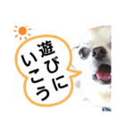 キキスタンプず14（個別スタンプ：17）