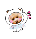 HALE PLUMERIAラブリーわんこ（個別スタンプ：1）