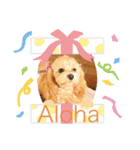 HALE PLUMERIAラブリーわんこ（個別スタンプ：9）