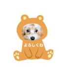 HALE PLUMERIAラブリーわんこ（個別スタンプ：17）