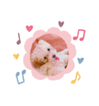 HALE PLUMERIAラブリーわんこ（個別スタンプ：32）