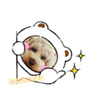 HALE PLUMERIAラブリーわんこ（個別スタンプ：34）