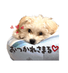 まるおとまるを。（個別スタンプ：13）