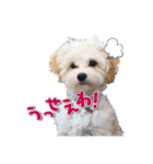 まるおとまるを。（個別スタンプ：23）