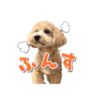 まるおとまるを。（個別スタンプ：24）