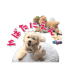 まるおとまるを。（個別スタンプ：25）