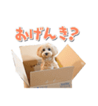 まるおとまるを。（個別スタンプ：28）