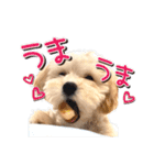 まるおとまるを。（個別スタンプ：31）
