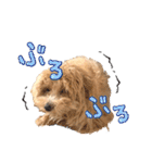まるおとまるを。（個別スタンプ：34）