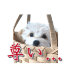 まるおとまるを。（個別スタンプ：37）