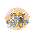 まるおとまるを。（個別スタンプ：39）