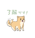 柴犬のまるくん「毎日使える♪」（個別スタンプ：8）