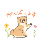 柴犬のまるくん「毎日使える♪」（個別スタンプ：14）