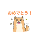 柴犬のまるくん「毎日使える♪」（個別スタンプ：21）