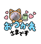 ハムこちゃんと愉快な仲間たち（個別スタンプ：6）