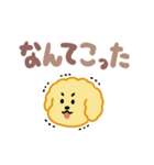 もこもこプードル（でか文字）（個別スタンプ：25）