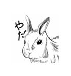 お絵かき動物園5963（個別スタンプ：7）