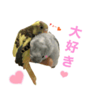 インコ友達（個別スタンプ：15）