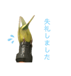 インコ友達（個別スタンプ：20）