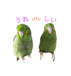 インコ友達（個別スタンプ：21）
