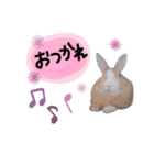 うさぎの若4（個別スタンプ：2）