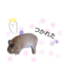 うさぎの若4（個別スタンプ：6）