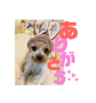 村山さんちのももちゃん（個別スタンプ：2）