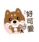 柴犬の小さな日（個別スタンプ：1）
