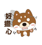 柴犬の小さな日（個別スタンプ：2）
