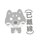 柴犬の小さな日（個別スタンプ：4）