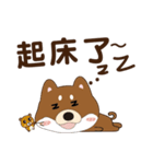 柴犬の小さな日（個別スタンプ：5）