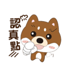 柴犬の小さな日（個別スタンプ：6）